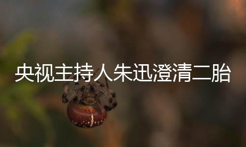 人朱麦包迅澄清二主持闻央视那是胎传